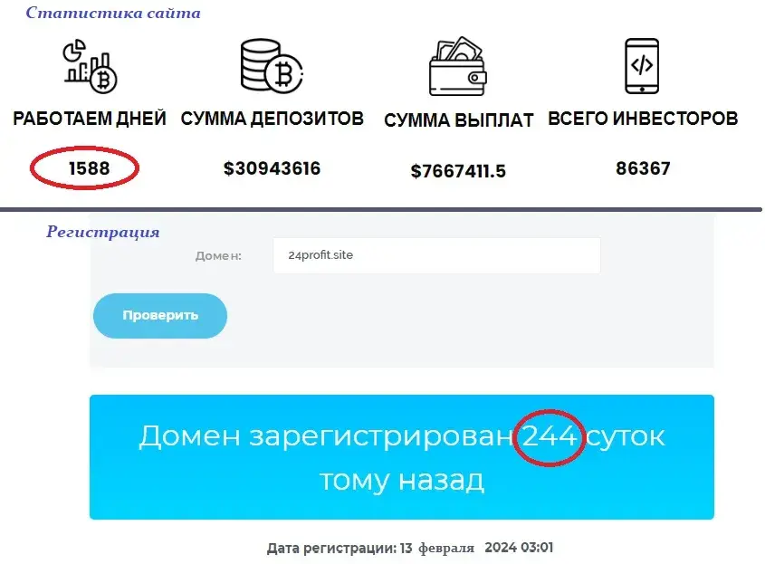 24 профит