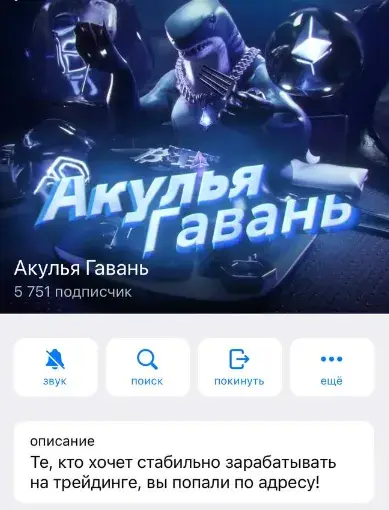 акулья гавань трейдер акулья гавань трейдер