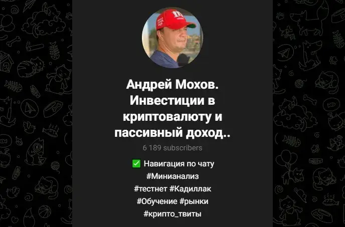 андрей мохов инвестиции