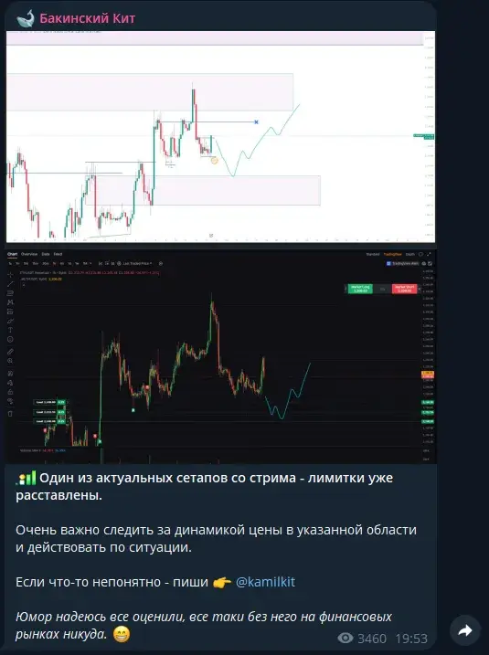 бакинский кит телеграмм канал бакинский кит телеграмм канал