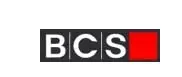 Bcsfx — отзывы и рейтинг