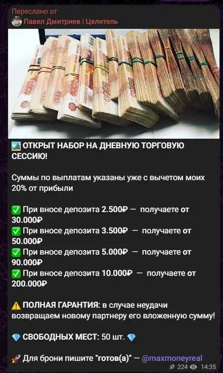 big money отзывы
