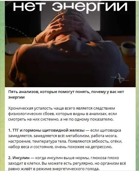 биохакеры телеграм биохакеры телеграм