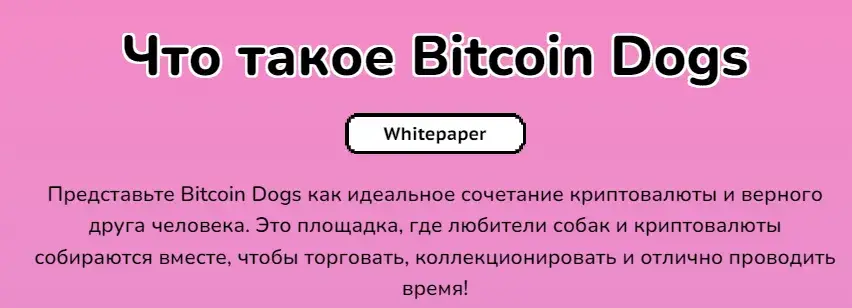 bitcoindogs club bitcoindogs club