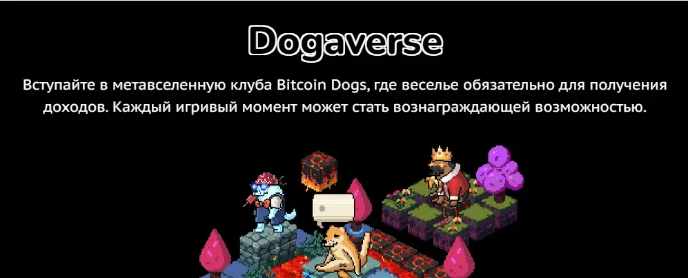 bitcoindogsclub bitcoindogsclub