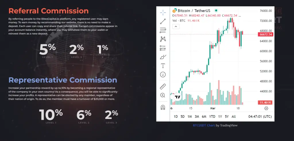 bitex ltd отзывы