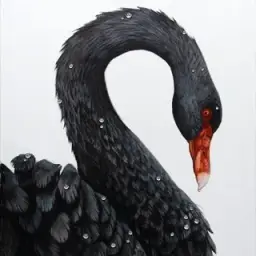 Blackswan — отзывы и рейтинг