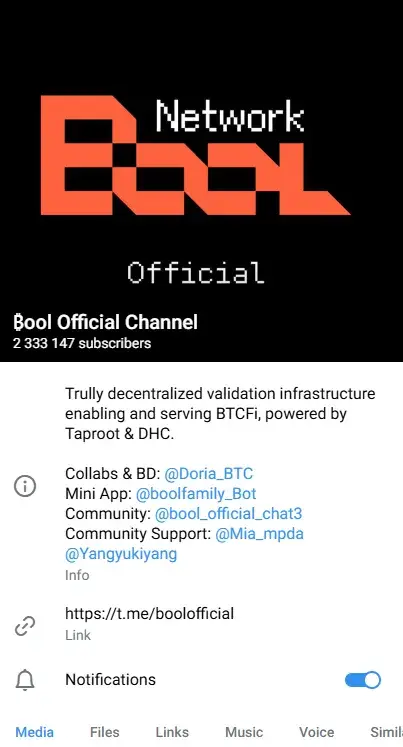 bool network telegram bool network telegram