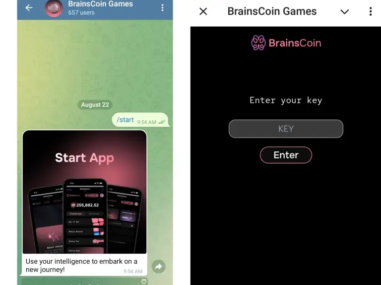 Brainscoin Brainscoin