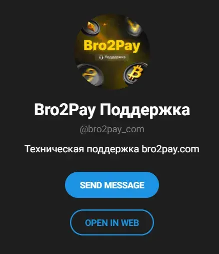 bro2pay com обменник