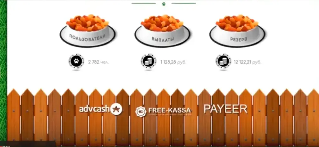 cashdog biz