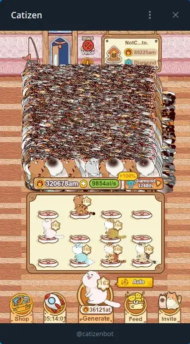 Catizen coin Catizen coin