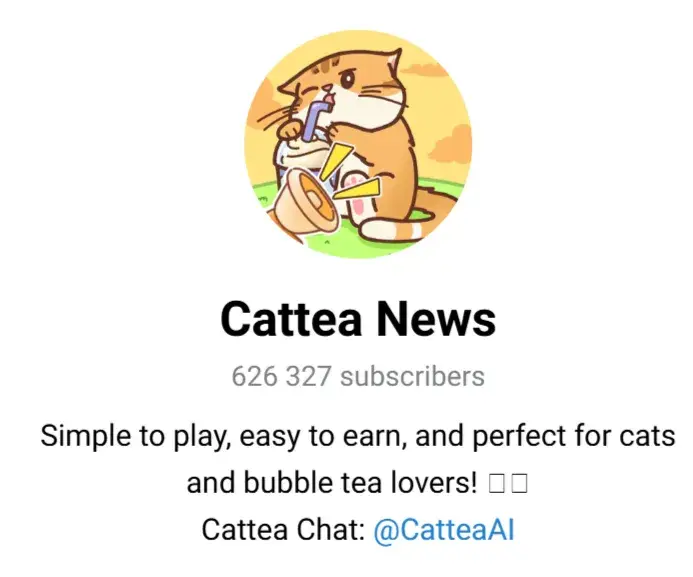 cattea обзор cattea обзор