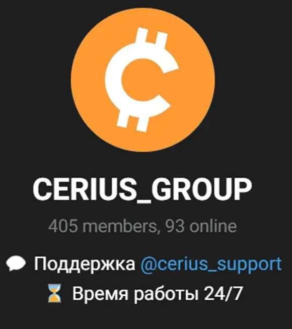CERIUS LIMITED CERIUS LIMITED