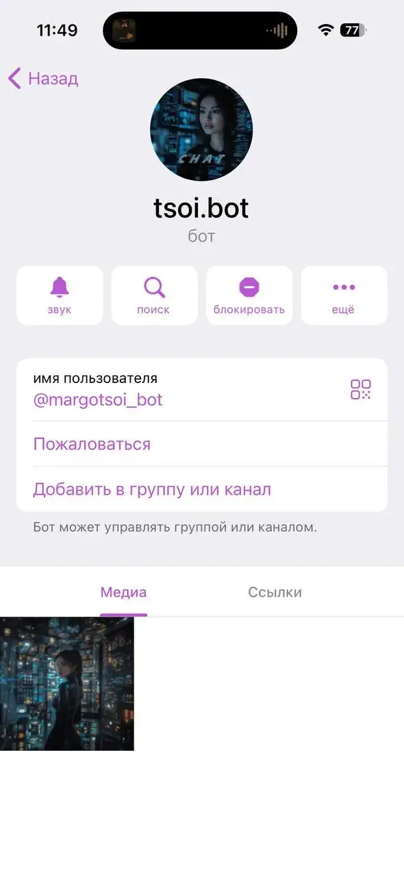 чат марго цой чат марго цой