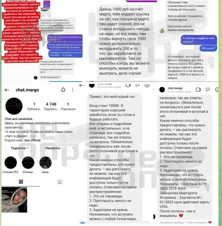chat tsoi отзывы chat tsoi отзывы