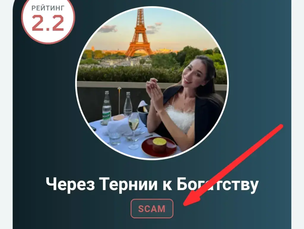 через тернии к богатству через тернии к богатству