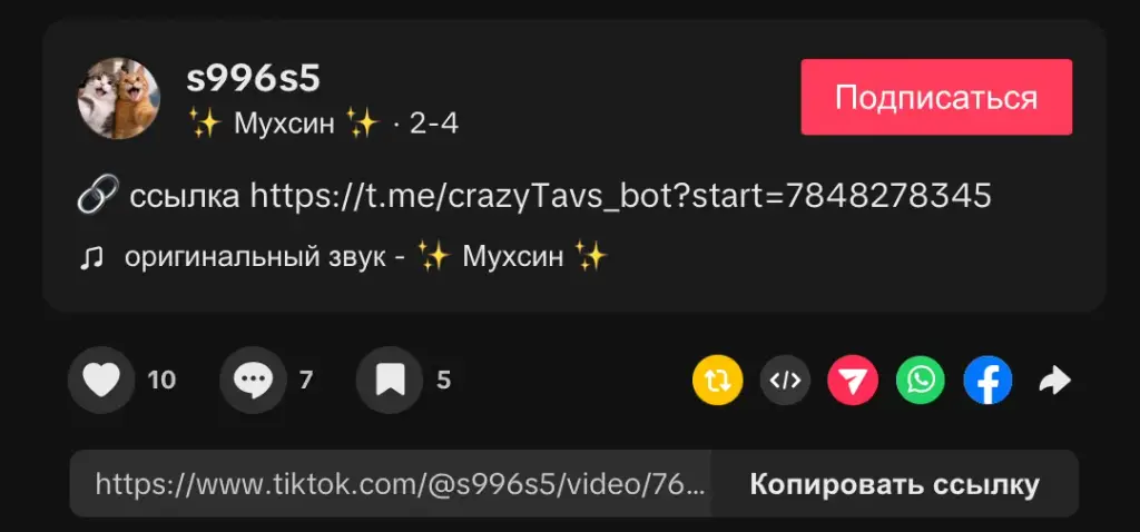 crazy tavs crazy tavs