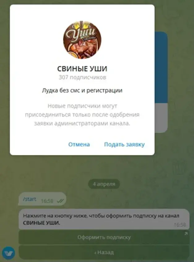криптосвин криптосвин