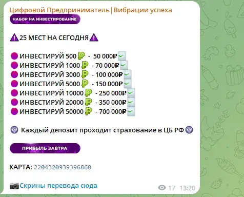 Цифровой предприниматель