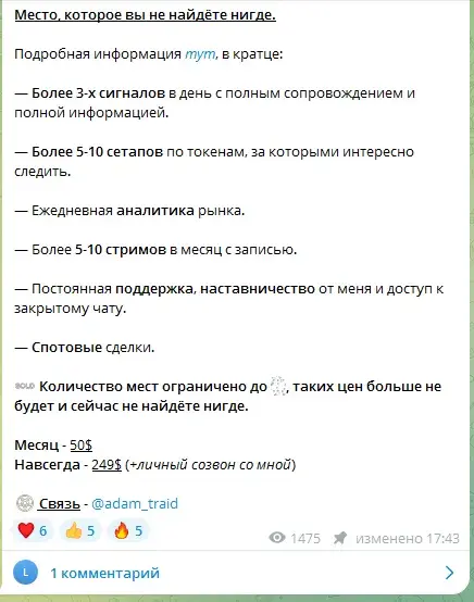 daily trader тгк
