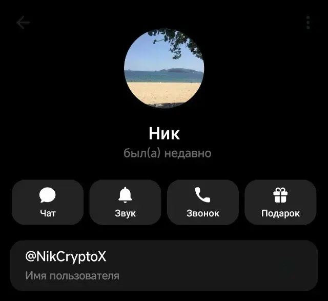 дарья титова crypto
