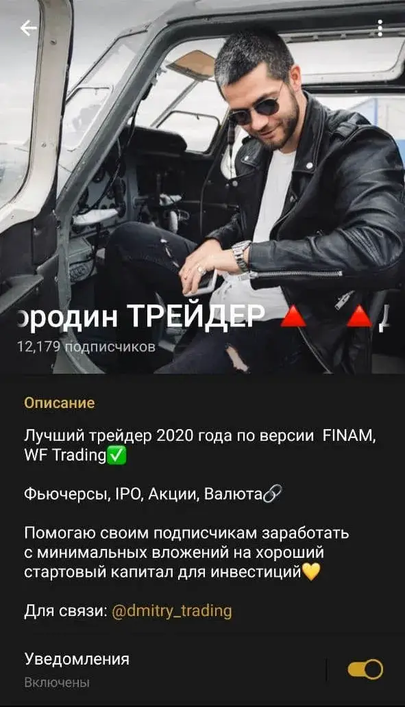 дмитрий бородин инвестиции