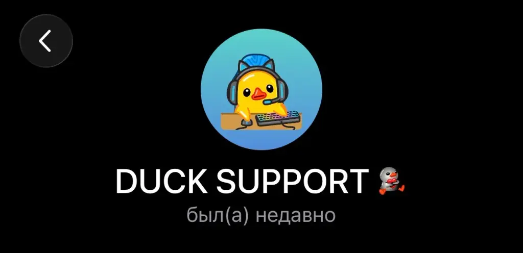 duckvpn robot duckvpn robot