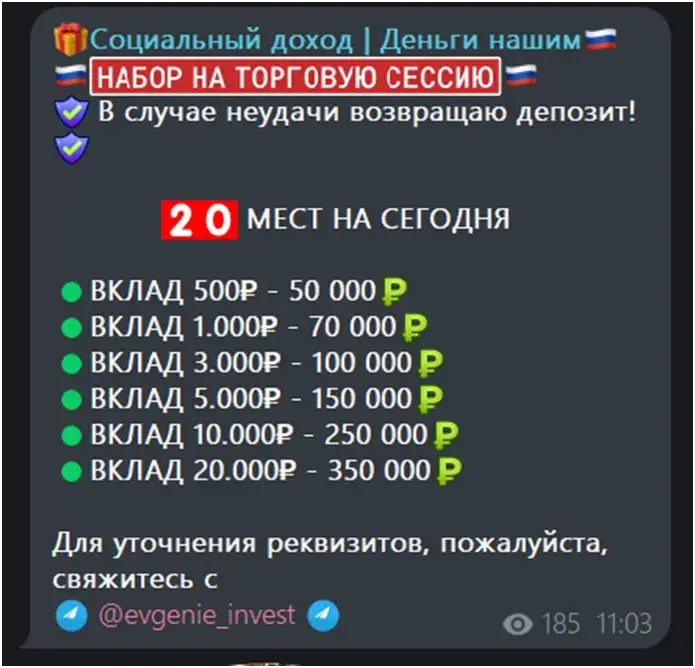 социальный доход деньги нашим тг канал