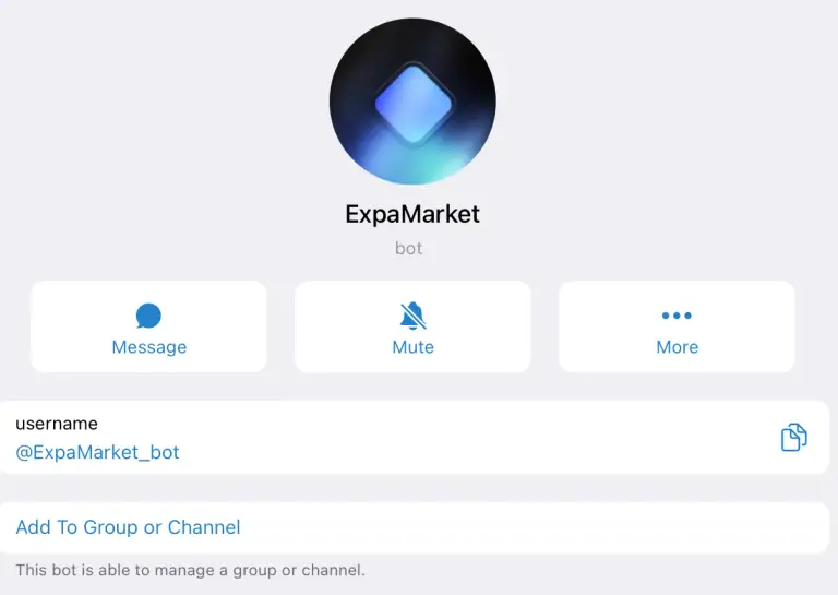 expamarket expamarket