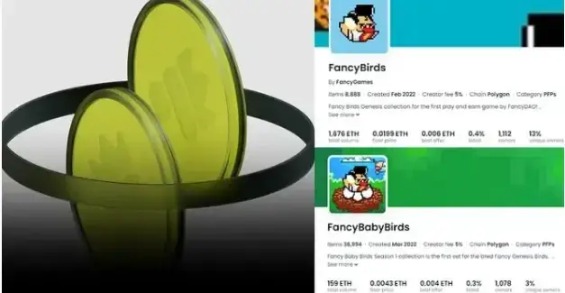 fancybirds io