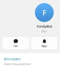 fondy ru
