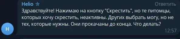 gatto game заработок gatto game заработок