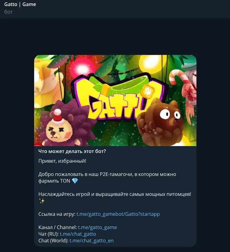 гатто игра гатто игра