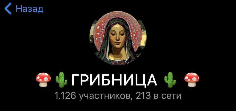 грибная фея телеграм канал грибная фея телеграм канал
