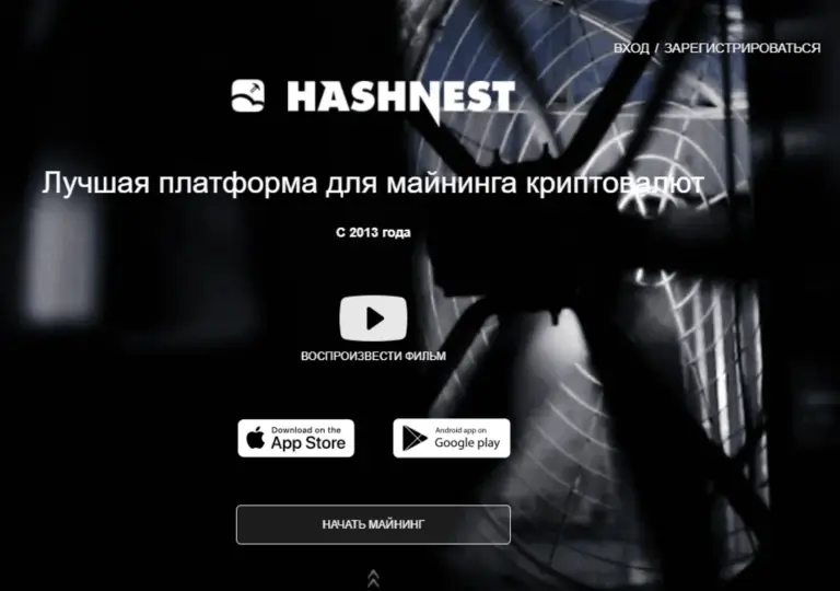 hashnest hashnest