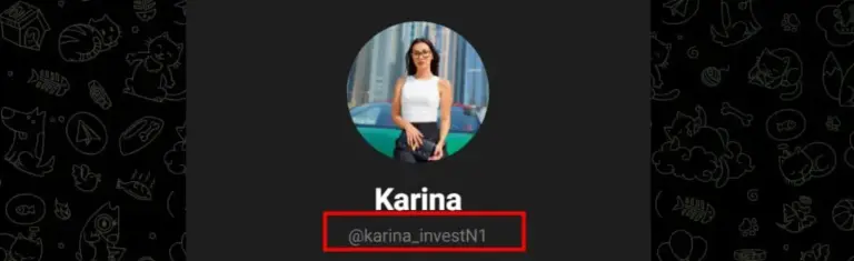 karina investn1 karina investn1