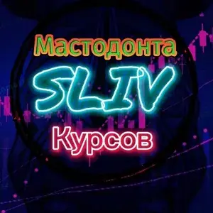 Ковчег — отзывы и рейтинг
