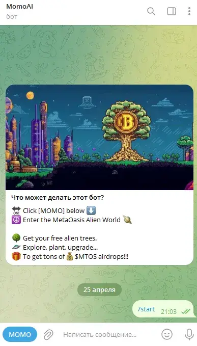 Бот MomoAI Бот MomoAI