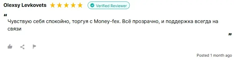 moneyfex скам
