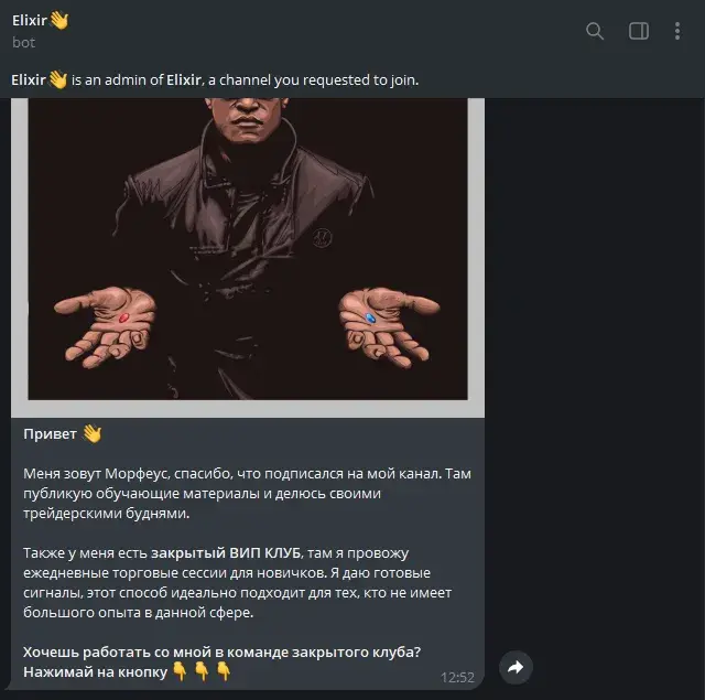 morpheus elixir трейдер morpheus elixir трейдер