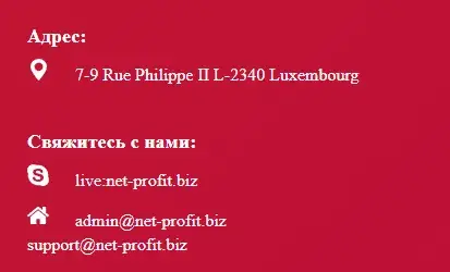 net profit biz net profit biz