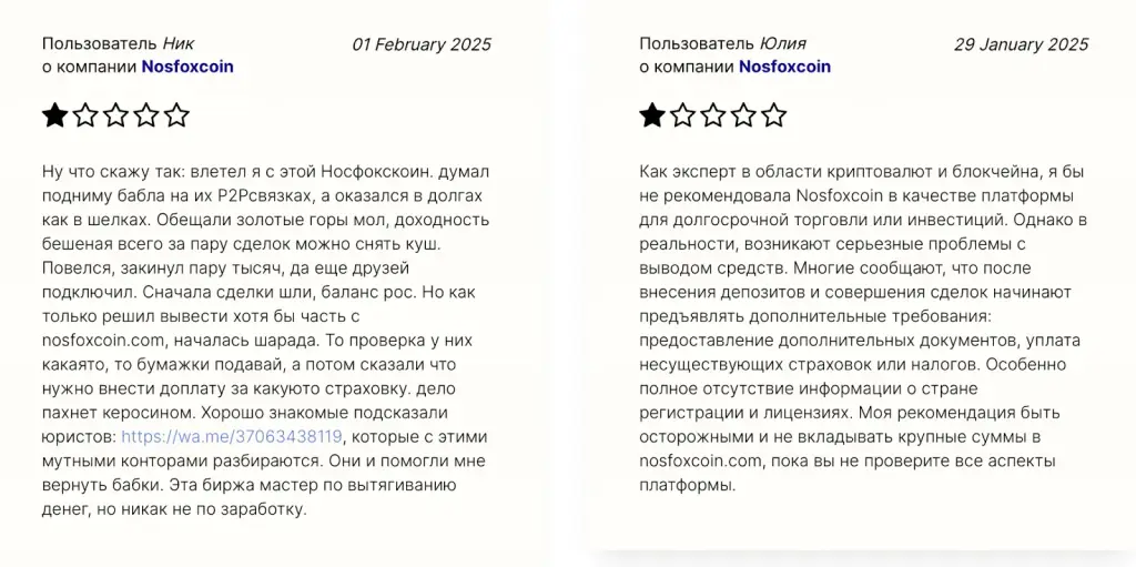 nosfox coin отзывы nosfox coin отзывы
