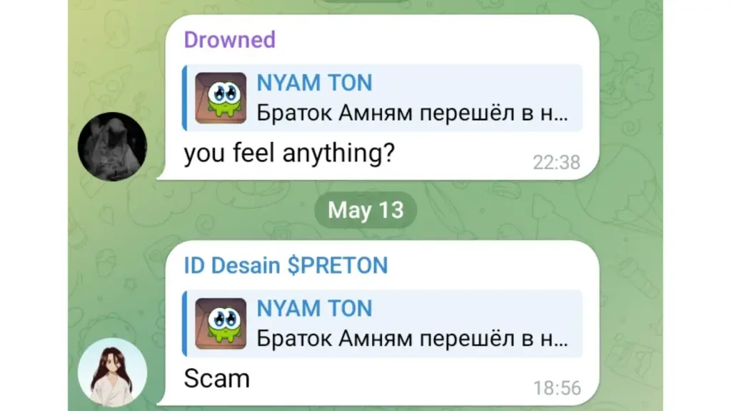 amnyamcoin ton amnyamcoin ton