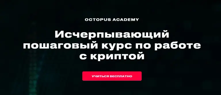Обзор Octopus Academy