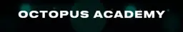 Octopus Academy — отзывы и рейтинг