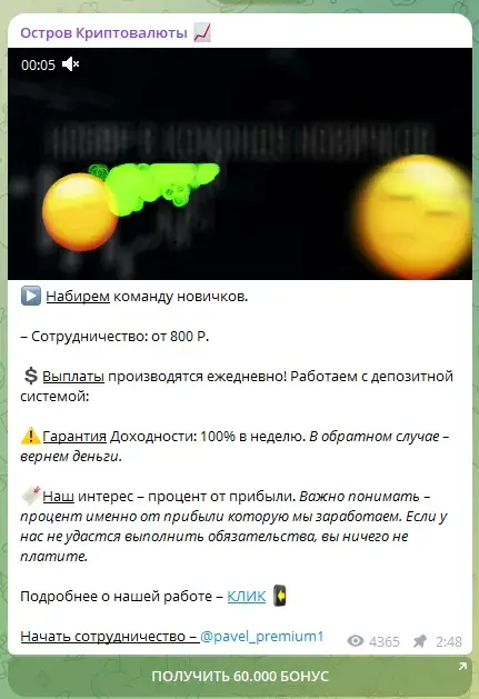 павел некрасов криптовалюта павел некрасов криптовалюта