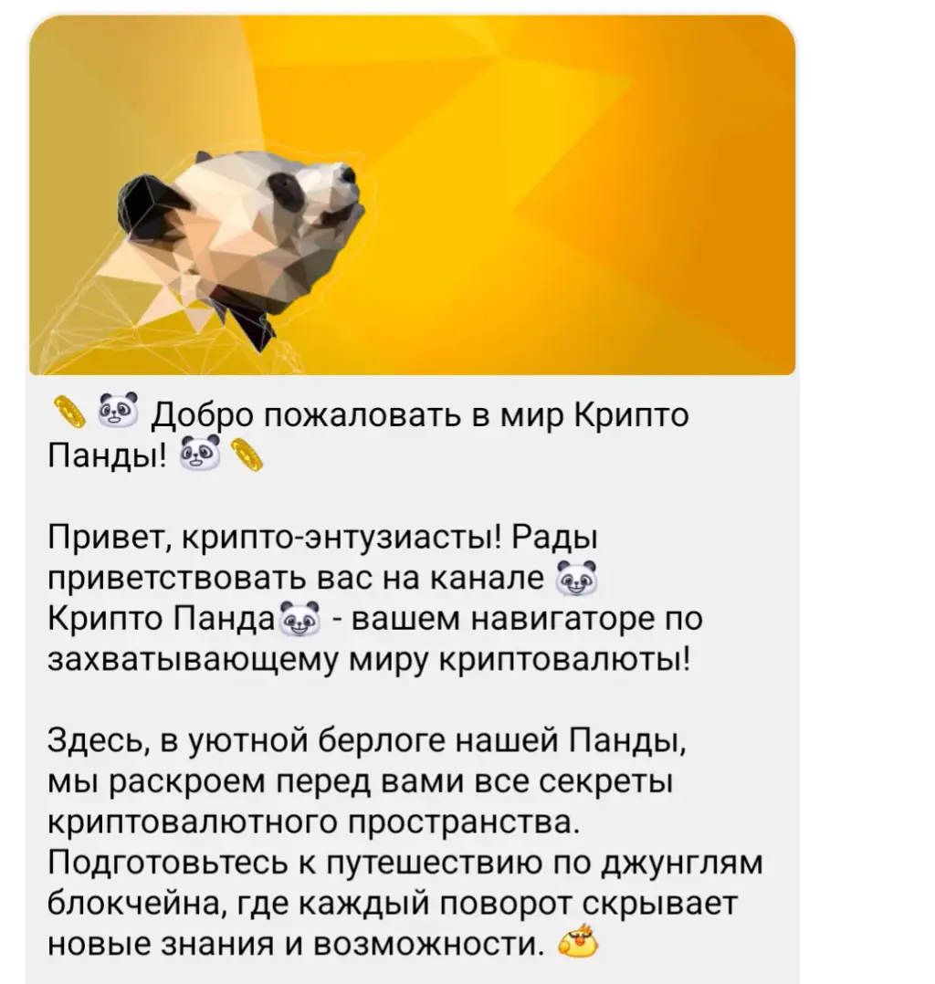 cryp pando chat cryp pando chat
