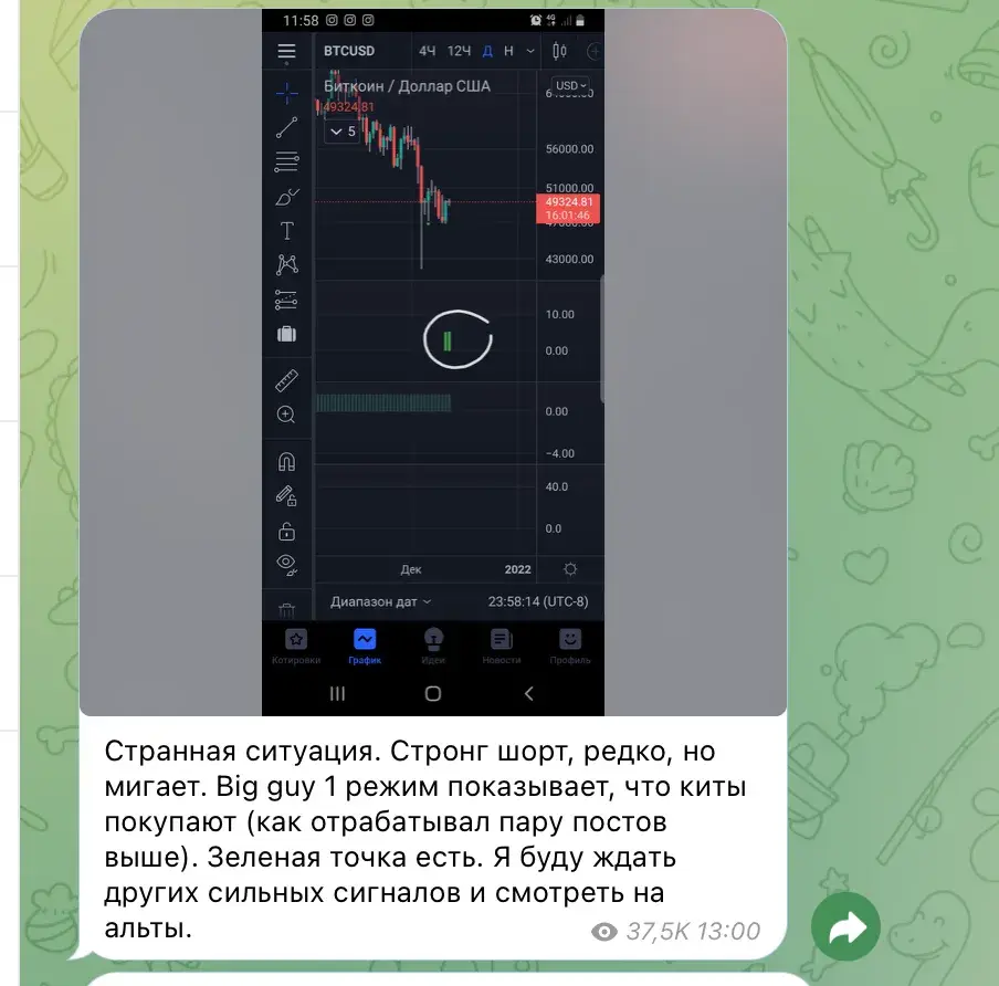 пифагор трейд отзывы пифагор трейд отзывы