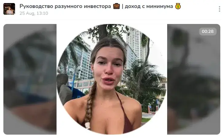 Руководство разумного инвестора Руководство разумного инвестора